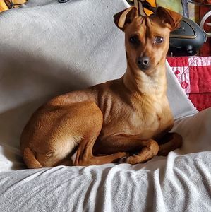 Meet your Posher, Colleen